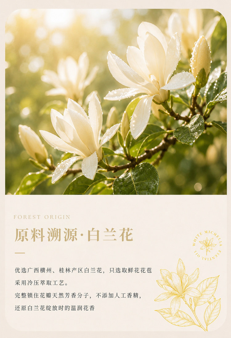 白兰花香薰精油详情图 2
